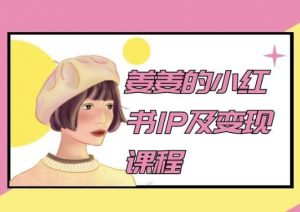 姜姜的小红书IP及变现课程,姜姜小红书2024-风淘社