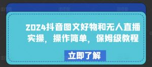 2024抖音图文好物和无人直播实操，操作简单，保姆级教程-风淘社