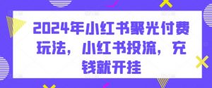 2024年小红书聚光付费玩法,小红书投流,充钱就开挂-风淘社