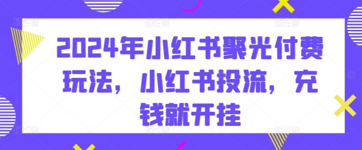 2024年小红书聚光付费玩法,小红书投流,充钱就开挂-风淘社