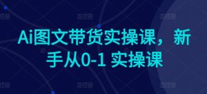 Ai图文带货实操课,新手从0-1 实操课-风淘社