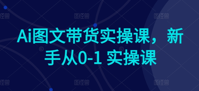 Ai图文带货实操课,新手从0-1 实操课-风淘社