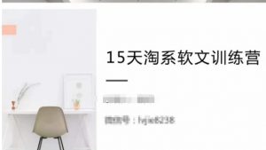 15天淘系软文训练营,跟年入50万的淘系软文导师,学习月收过万的淘系软文-风淘社