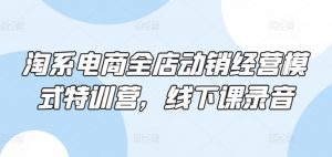 淘系电商全店动销经营模式特训营,线下课录音-风淘社