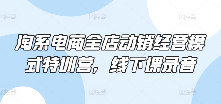 淘系电商全店动销经营模式特训营,线下课录音-风淘社