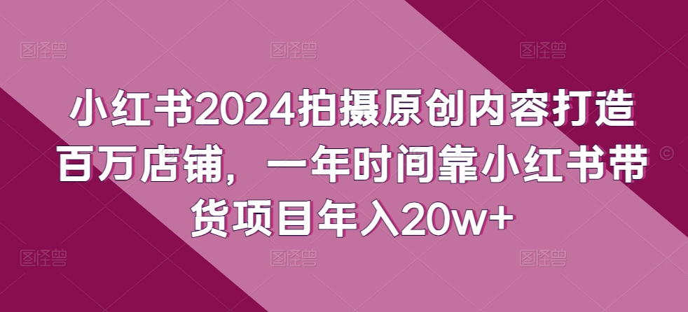 小红书2024拍摄原创内容打造百万店铺,一年时间靠小红书带货项目年入20w+-风淘社