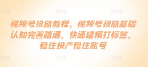 视频号投放教程,视频号投放基础认知完善疏通,快速建模打标签,稳住投产稳住账号-风淘社
