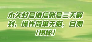 永久封号微信账号三天解封，操作简单无脑，自测【揭秘】-风淘社