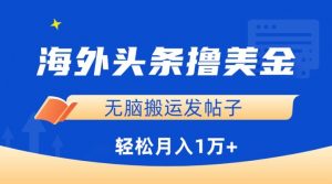 海外头条撸美金，无脑搬运发帖子，月入1万+，小白轻松掌握【揭秘】-风淘社