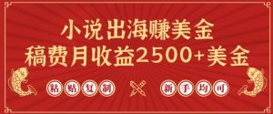小说出海赚美金,稿费月收益2500+美金,仅需chatgpt粘贴复制,新手也能玩转【揭秘】-风淘社