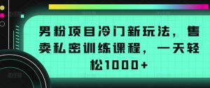 男粉项目冷门新玩法，售卖私密训练课程，一天轻松1000+【揭秘】-风淘社
