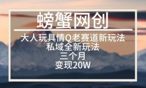 大人玩具情Q用品赛道私域全新玩法,三个月变现20W,老项目新思路【揭秘】-风淘社