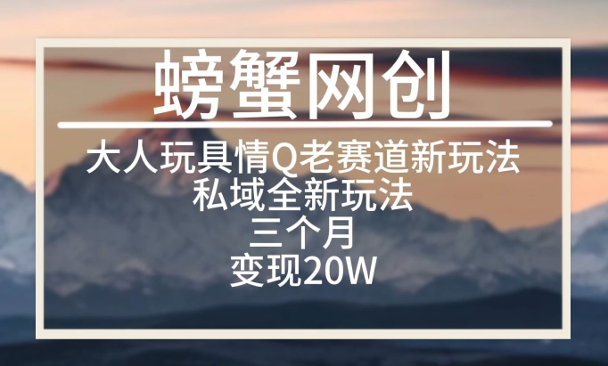 大人玩具情Q用品赛道私域全新玩法,三个月变现20W,老项目新思路【揭秘】-风淘社