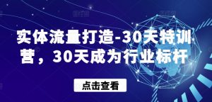 实体流量打造-30天特训营,30天成为行业标杆-风淘社