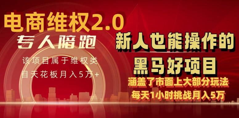 电商维权 4.0 如何做到月入 5 万+每天 1 小时新人也能快速上手【仅揭秘】-风淘社
