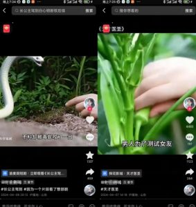 抖音卡章节搬运:短剧搬运术,百分百过抖,一比一搬运,只能安卓【揭秘】-风淘社