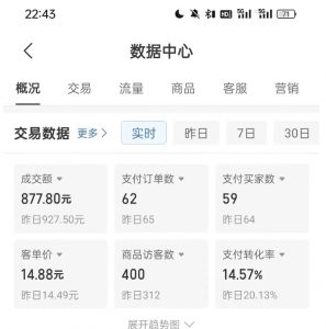 拼多多虚拟U盘电商红利项目：月赚2万+，新手小白也能玩-风淘社