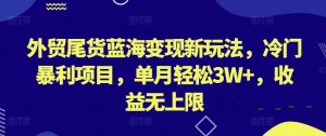 外贸尾货蓝海变现新玩法,冷门暴利项目,单月轻松3W+,收益无上限【揭秘】-风淘社