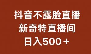 不露脸挂机直播，新奇特直播间，日入500+【揭秘】-风淘社
