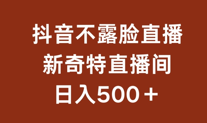 不露脸挂机直播,新奇特直播间,日入500+【揭秘】-风淘社