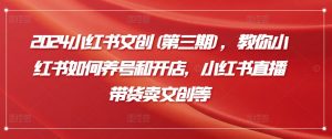 2024小红书文创(第三期),教你小红书如何养号和开店,小红书直播带货卖文创等-风淘社