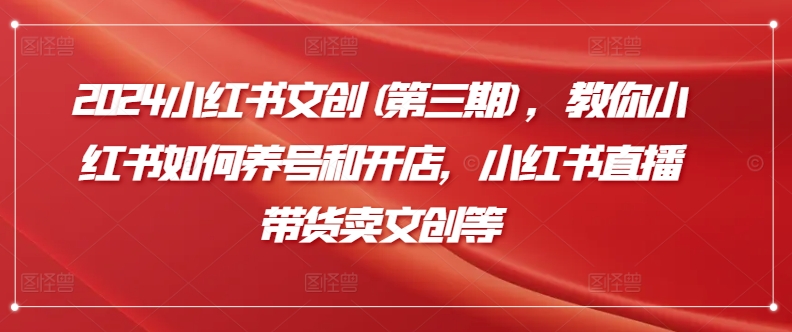 2024小红书文创(第三期),教你小红书如何养号和开店,小红书直播带货卖文创等-风淘社
