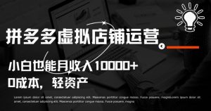 拼多多虚拟店铺运营小白也能月收入10000+【揭秘】-风淘社