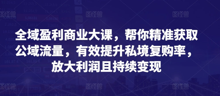 全域盈利商业大课,帮你精准获取公域流量,有效提升私境复购率,放大利润且持续变现-风淘社