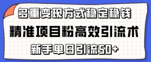 精准项目粉高效引流术，新手单日引流50+，多重变现方式稳定赚钱【揭秘】-风淘社