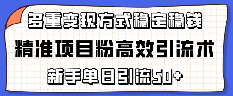 精准项目粉高效引流术，新手单日引流50+，多重变现方式稳定赚钱【揭秘】-风淘社