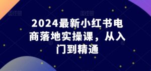 2024最新小红书电商落地实操课,从入门到精通-风淘社