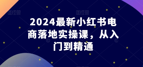 2024最新小红书电商落地实操课,从入门到精通-风淘社