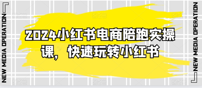2024小红书电商陪跑实操课,快速玩转小红书,超过20节精细化课程-风淘社