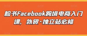 脸书Facebook跨境电商入门课，外贸·独立站必修-风淘社