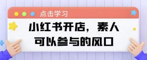 小红书开店,素人可以参与的风口-风淘社