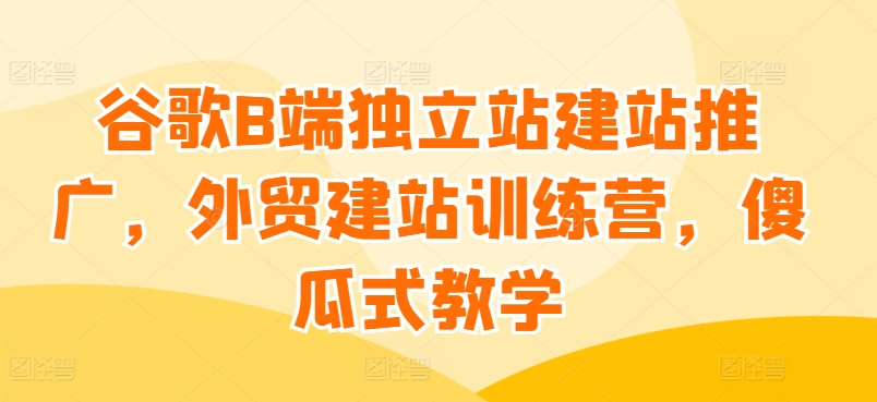 谷歌B端独立站建站推广,外贸建站训练营,傻瓜式教学-风淘社
