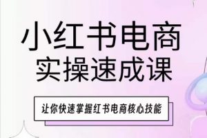 小红书电商实操速成课,让你快速掌握红书电商核心技能-风淘社