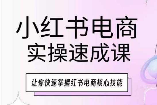 小红书电商实操速成课,让你快速掌握红书电商核心技能-风淘社