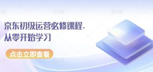京东初级运营必修课程，从零开始学习-风淘社