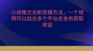 小说推文全新剪辑方法，一个视频可以结合多个平台去发布获取【揭秘】-风淘社