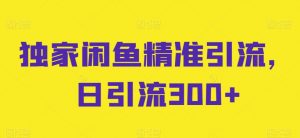 独家闲鱼精准引流，日引流300+【揭秘】-风淘社