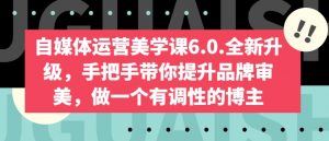 自媒体运营美学课6.0.全新升级,手把手带你提升品牌审美,做一个有调性的博主-风淘社