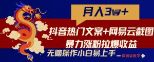 抖音热门文案+网易云截图暴力涨粉拉爆收益玩法,小白无脑操作,简单易上手【揭秘】-风淘社