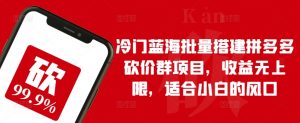 冷门蓝海批量搭建拼多多砍价群项目，收益无上限，适合小白的风口【揭秘】-风淘社