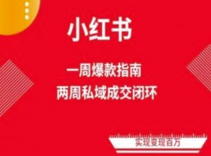 爆款小红书免费流量体系课程(两周变现),小红书电商教程-风淘社