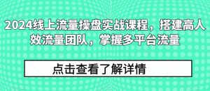 2024线上流量操盘实战课程,搭建高人效流量团队,掌握多平台流量-风淘社