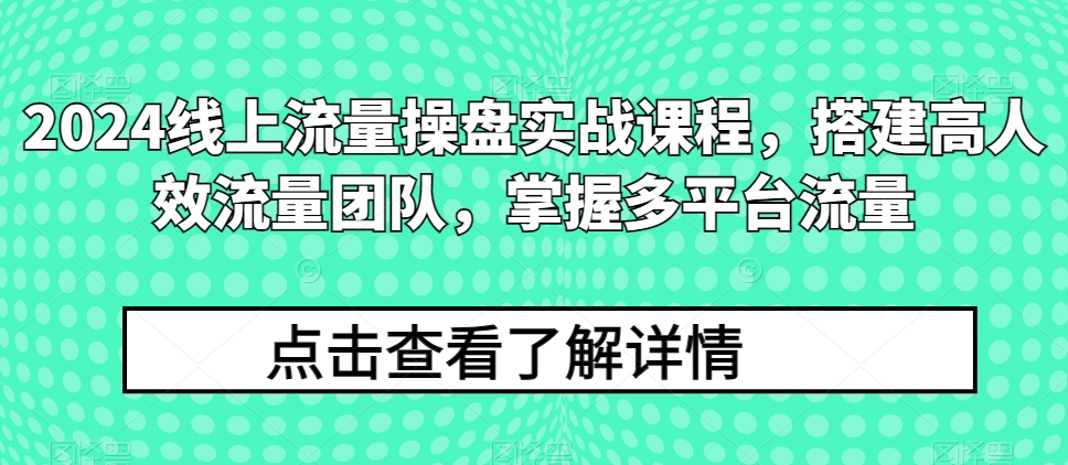 2024线上流量操盘实战课程,搭建高人效流量团队,掌握多平台流量-风淘社