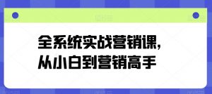 全系统实战营销课,从小白到营销高手-风淘社