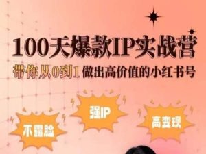 小红书100天爆款IP实战营,带你从0到1做出高价值的小红书号-风淘社