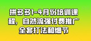 拼多多1-4月份培训课程，自然流强付费推广全套打法和细节-风淘社